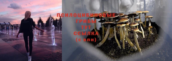 спиды Волоколамск