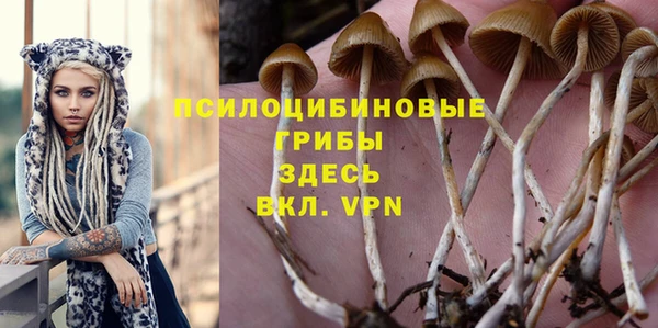 mdpv Володарск