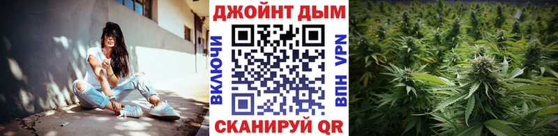 дарнет шоп  Избербаш  маркетплейс наркотические препараты  Конопля тримм 